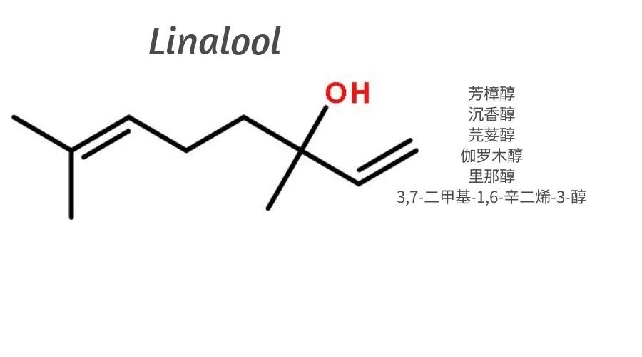 調(diào)香合成原料學(xué)習(xí)|芳樟醇