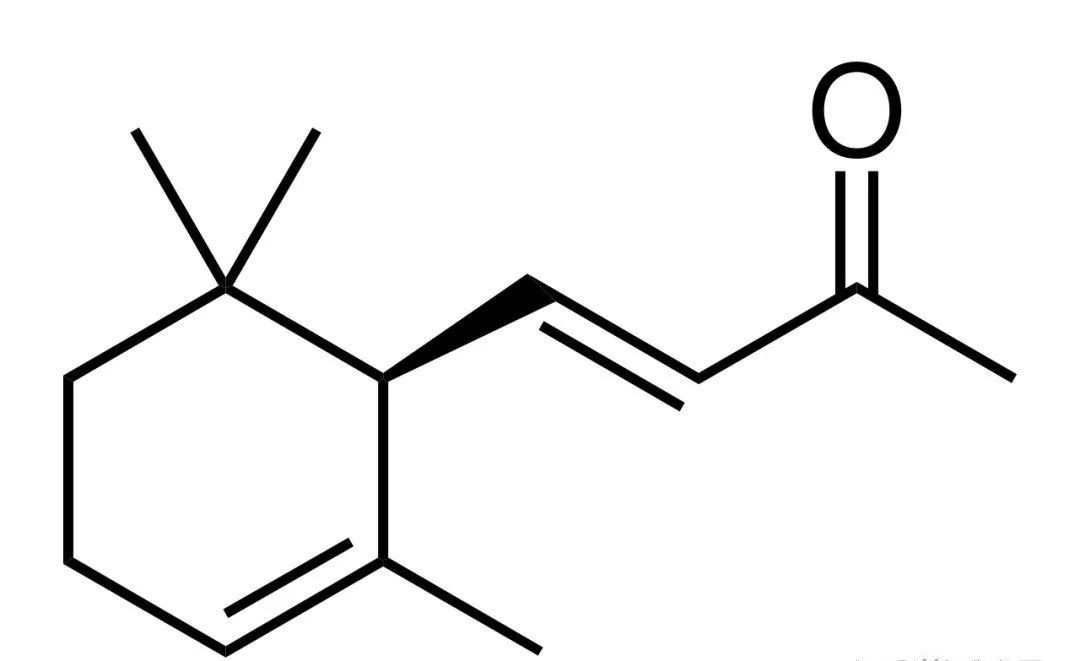 香精與香料(17)-香型與分子結構特征的關系