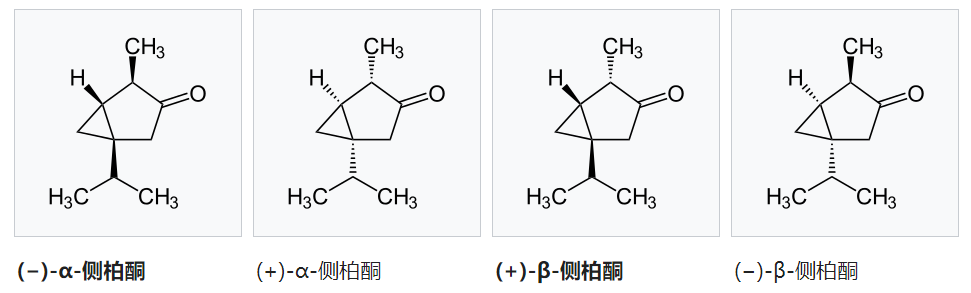 香精與香料(48)—側(cè)柏酮(Thujone)與側(cè)柏