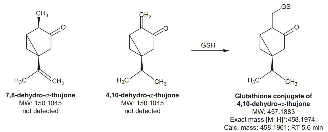 香精與香料(48)—側(cè)柏酮(Thujone)與側(cè)柏