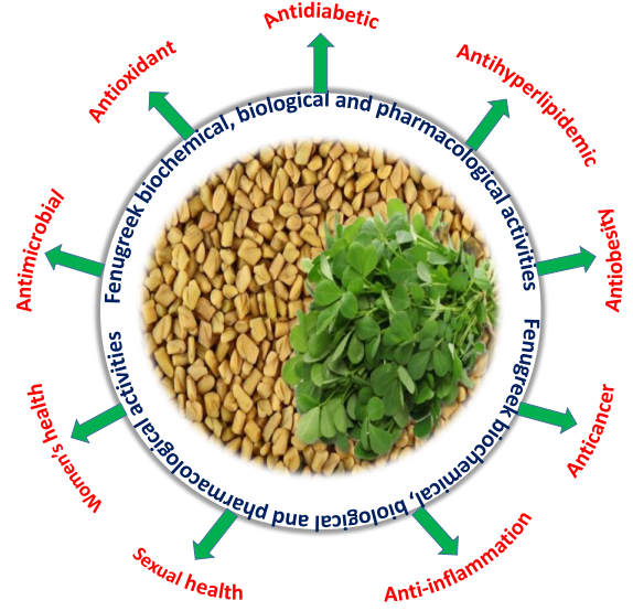 香精與香料(80)—葫蘆巴浸膏(Fenugreek concrete)