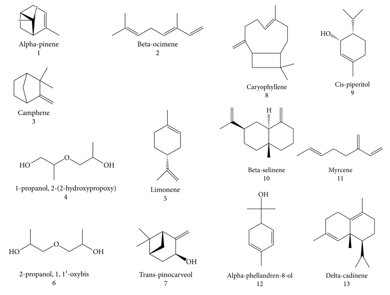 香精與香料(83)—乳香(Frankincense)