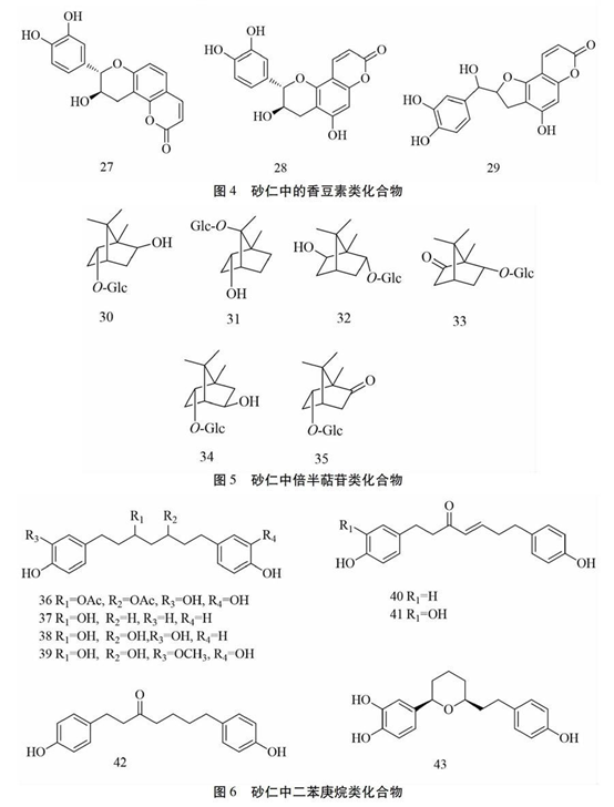 香精與香料(88)—砂仁