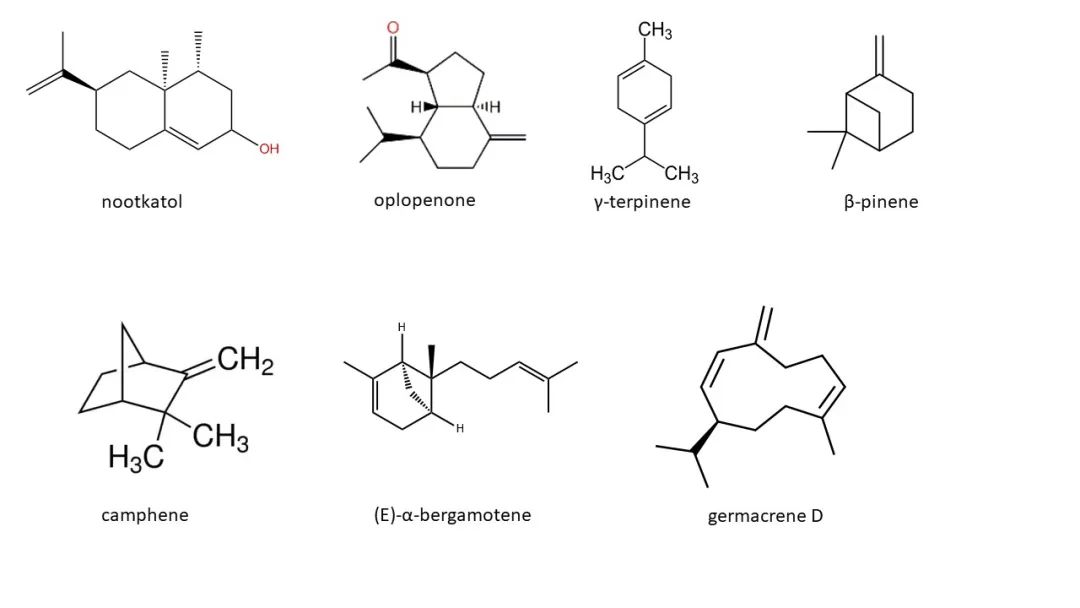 香精與香料(91)—香櫞