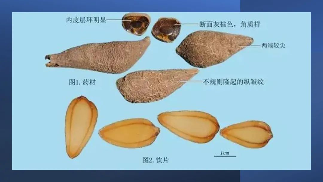 香精與香料(97)—郁金