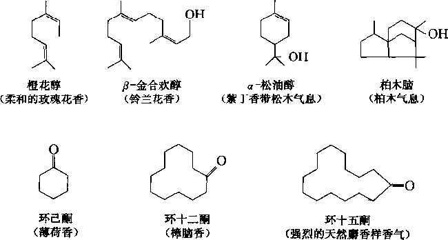 香水的香氣從何而來？