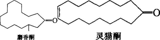 香水的香氣從何而來？