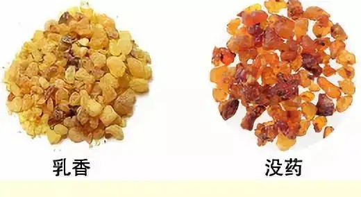 乳香，Boswellia Carterri Birdw 橄欖科