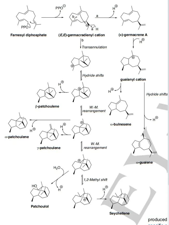 生物合成香料的化學(xué)組成、可持續(xù)性和天然性