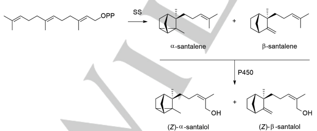 生物合成香料的化學(xué)組成、可持續(xù)性和天然性