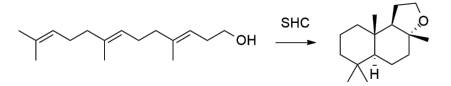 生物合成香料的化學(xué)組成、可持續(xù)性和天然性