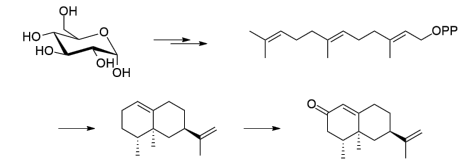 生物合成香料的化學(xué)組成、可持續(xù)性和天然性