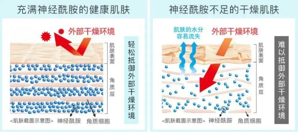 2022年護膚熱門功效成分有哪些？