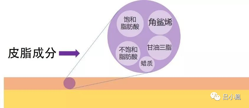 2022年護膚熱門功效成分有哪些？