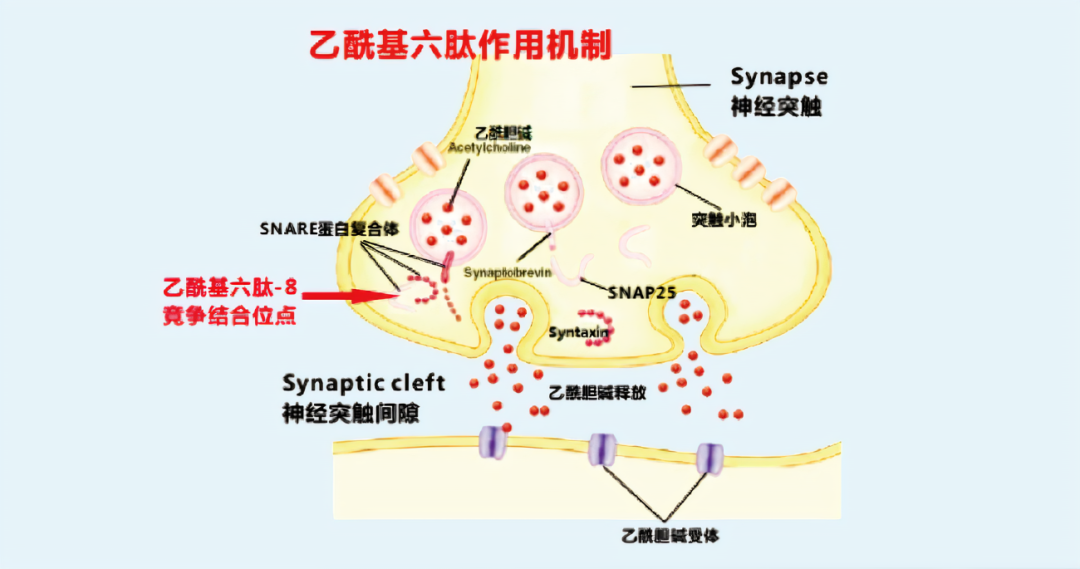 2022年護膚熱門功效成分有哪些？