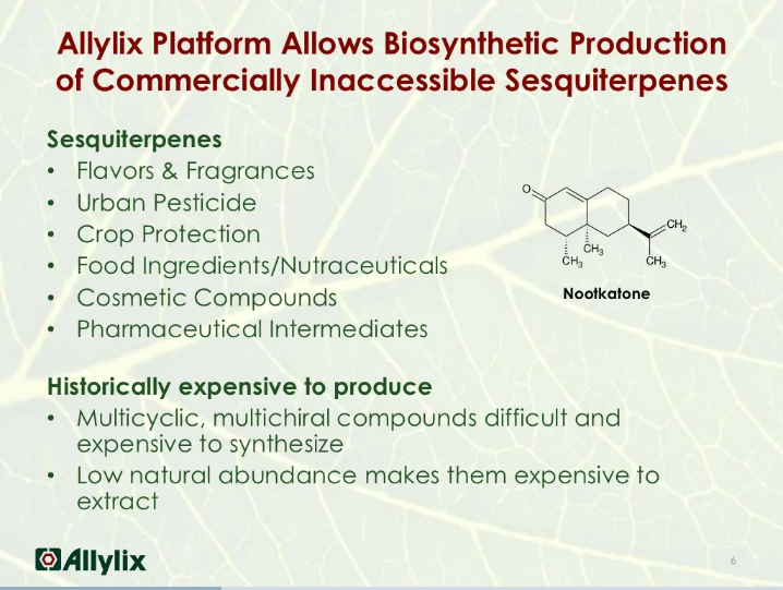 香料香精高新企業(yè)簡介(5)——Allylix