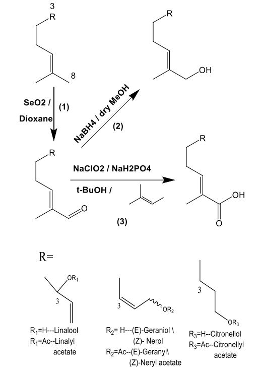 C-6不飽和無環(huán)單萜醇的結構-氣味關系研究：一種比較的方法