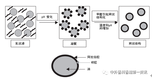 香精包埋與緩釋技術的研究進展