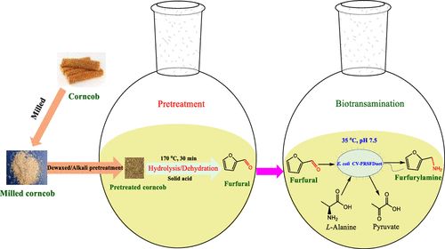 農業(yè)廢物作為微生物香精生產(chǎn)基質的潛力研究