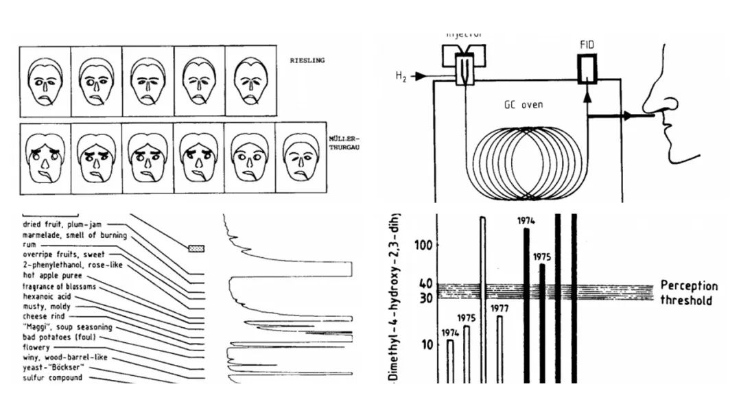 調香筆記(9)——多感官味覺感知:感官內部和感官之間的調和、混合、融合和配對