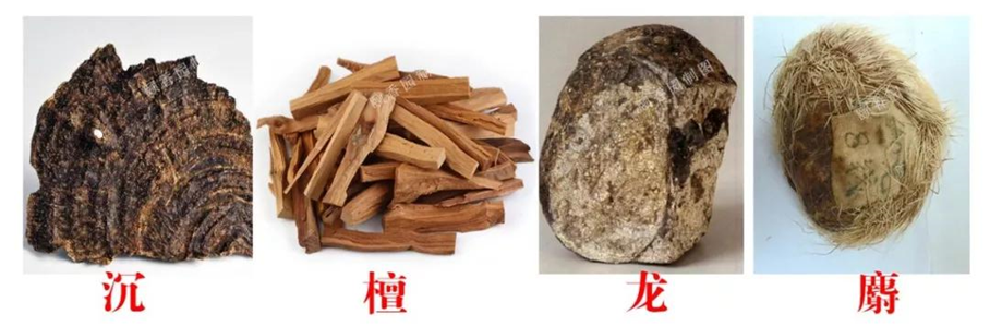 古代香料的發(fā)現(xiàn)、發(fā)展和成熟